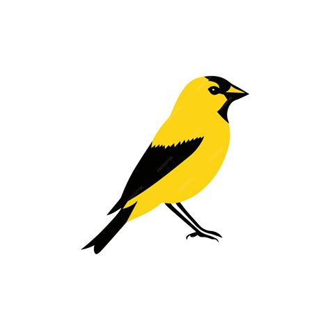Premium Vector | A yellow bird with black and yellow markings on its face