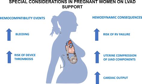 Intersection Of Heart Failure And Pregnancy Beyond Peripartum