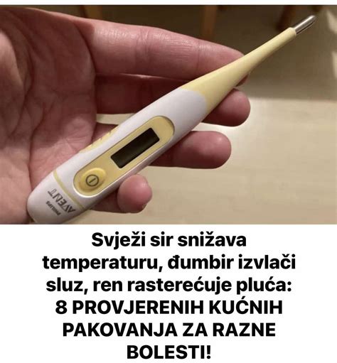 Svježi sir snižava temperaturu đumbir izvlači sluz ren rasterećuje