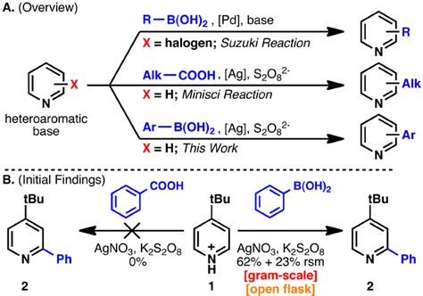 A Overview Of The Addition Of Arylboronic Acids To Electron Deficient