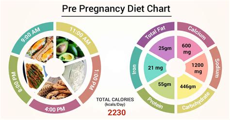 Diet Chart For pre pregnancy Patient, Pre Pregnancy Diet chart | Lybrate.