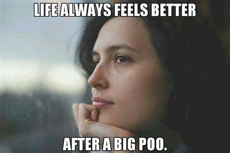 Life always feels better after a big poo. | Funny quotes, Funny quotes ...