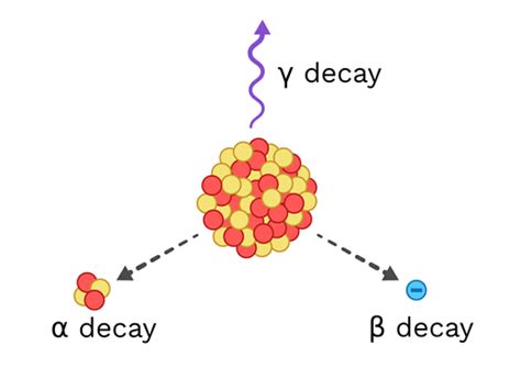 Types Of Decay Labster Theory