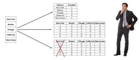 Categorical Data – AI Skunks – Medium