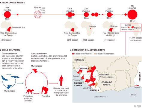 La Epidemia De ébola Actualidad El PaÍs