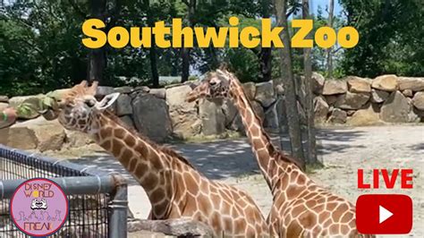 Southwick Zoo Mendon Massachusetts Youtube