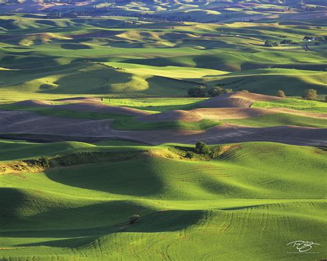 The Palouse Washington