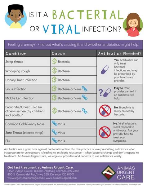 Differentiating Viruses and Bacteria: A Visual Comparison