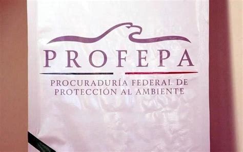 Dejan A Profepa Sin Delegados