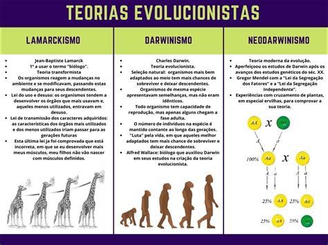 Mapas Mentais sobre TEORIA DA EVOLUÇÃO Study Maps