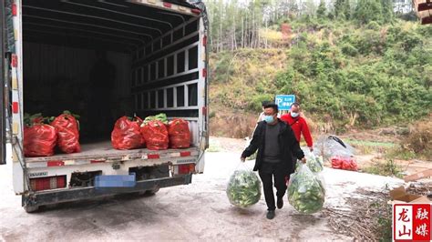 茨岩塘镇： 抗击疫情在行动 捐赠物资暖人心 新闻内容 龙山县新闻网