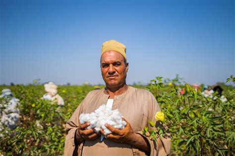 Crowd Farming In Egypt Green Prophet