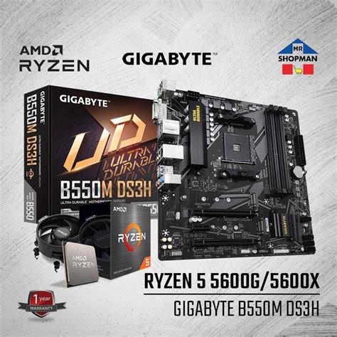 Amd Ryzen 5 5600g 5600x Processor W Gigabyte B550m Ds3h Motherboard