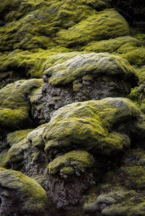 Icelandic Moss High Quality Nature Stock Photos Creative Market