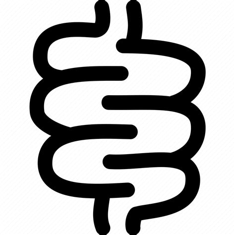 Bowel Digestive Gut Health Intestine Pharmacy Stomach Icon