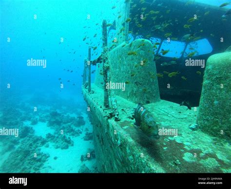 Sea pollution in metals and other garbage in the Red Sea Stock Photo ...