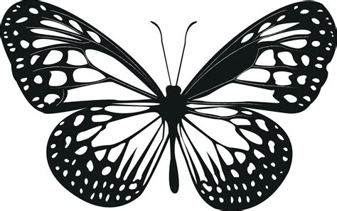 Ilustraci N De Arte Vectorial De Mariposa Vector Libre Vector