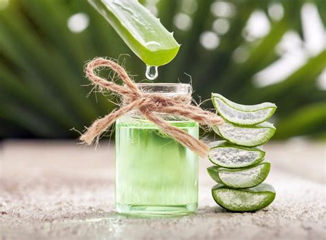 Zumo De Aloe Vera Para Cuidar Tu Organismo Aloe Plus