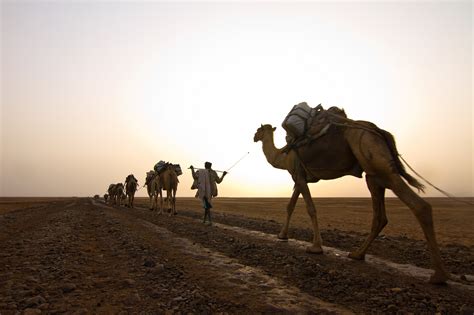 Photo Essay: Daring To Explore The Danakil Desert | AFKTravel