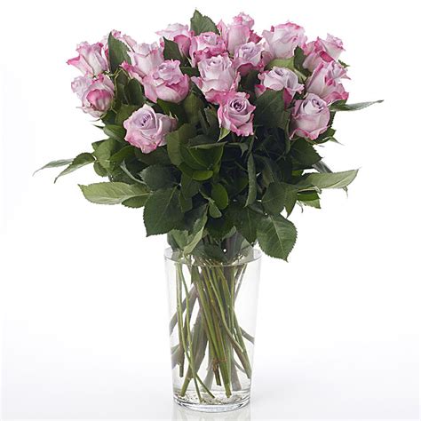 Lilac Kiss Roses Arrangement new-zealand | Gift Lilac Kiss Roses ...