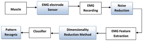 Sensors Free Full Text Surface Electromyography Signal Processing