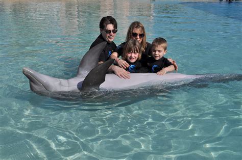 The Baima Family Blog: Swimming with Dolphins