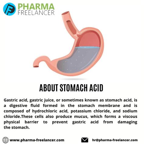 How Strong Is Stomach Acid Plus What To Do When Acid