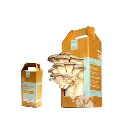 Wholesale Custom Mushroom Boxes Package Perfection