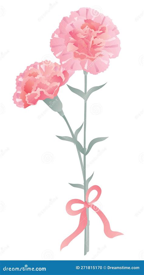 Pink Carnations With Ribbon Of Mother S Day Stock Vector