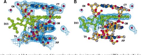 Figure 3 From The Crystal Structure Of The Complex Between A