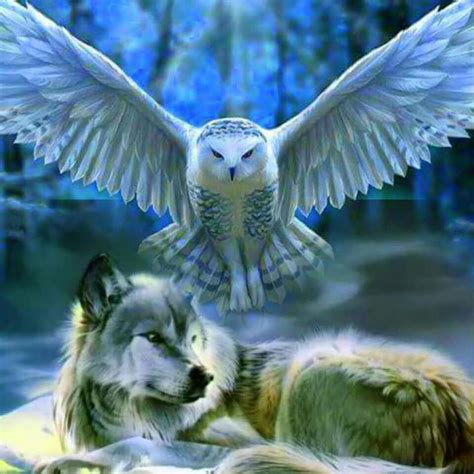 Look At This I Never Knew Owls And Wolves Could Fit Together So Well