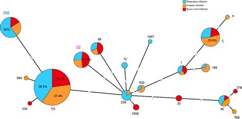 Minimum Spanning Tree Of MRSA Isolates Based On MLST Types In BJI