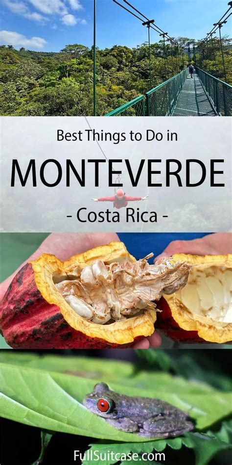 5 Absolute Best Things To Do In Monteverde Costa Rica