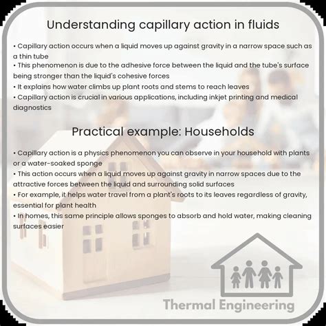 Understanding Capillary Action In Fluids