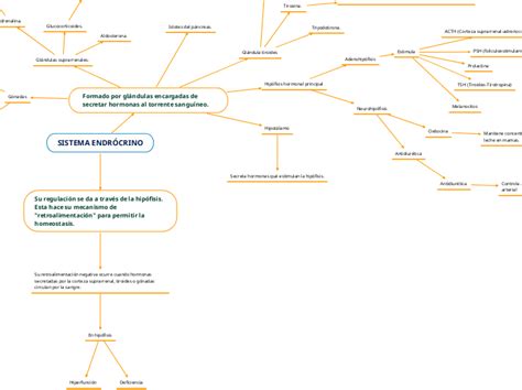 Sistema Endr Crino Mindmap Voorbeeld