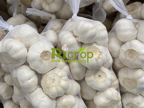 Premium Quality Chinese Garlic Pure White Garlic Of 1kg Mesh Bag