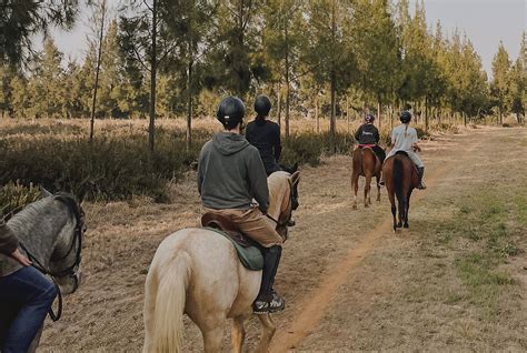 The Stables | horse rides near me | The Stables, R964, Pretoria, South ...