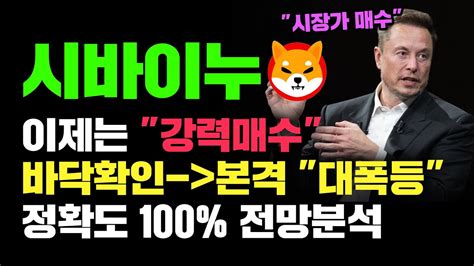 시바이누 긴급 정확도 100 전망분석 바닥확인 완료 본격 대폭등 시작 이제는 강력매수 하셔야 됩니다