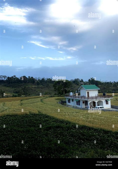 Palampur, Himachal Pradesh Stock Photo - Alamy