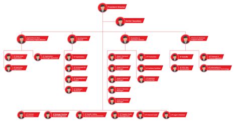 Struktur Organisasi Pt Pertamina Persero