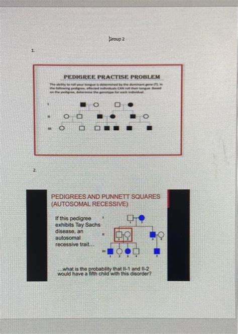 Solved PEDIGREE PRACTISE PROBLEM PEDIGREES AND PUNNETI Chegg