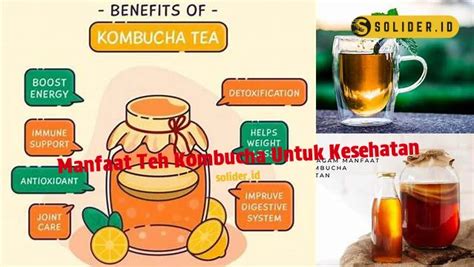 Temukan 10 Manfaat Teh Kombucha Yang Perlu Kamu Tahu Solider