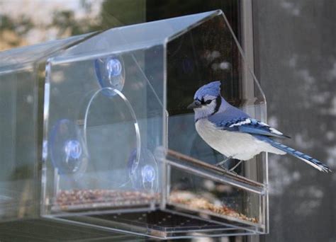 Best Window Bird Feeders Mirror, Hummingbird, In-House