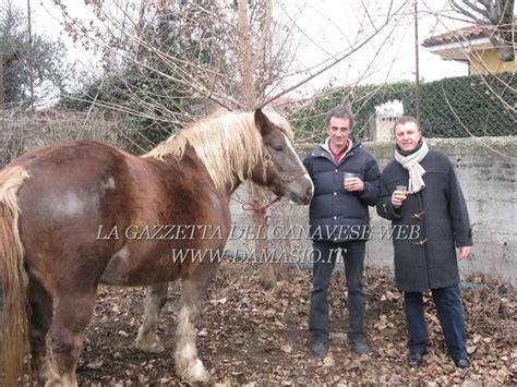 Frazione Pasquaro Tornata A Festeggiare Sant Antonio Abate