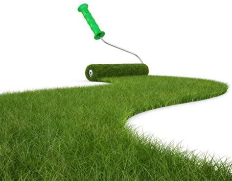 What is Grass Paint? How to Paint Your Lawn Green