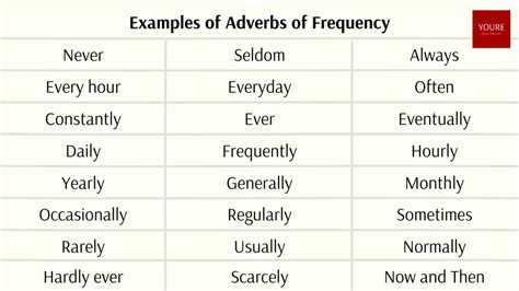 012 Adverbs Of Frequency Learn Meaning Definition And Usage With Examples Youre Blog