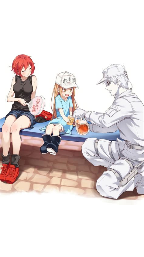 Cells At Work Hataraku Saibou Anime Red Blood Cell Platelet White