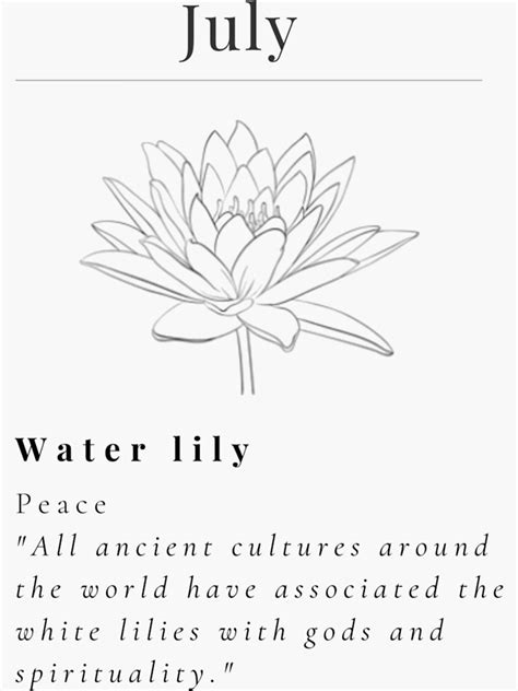 Minimalistic Birth Flower July Water Lily Flower Meaning Peace Sticker For Sale By