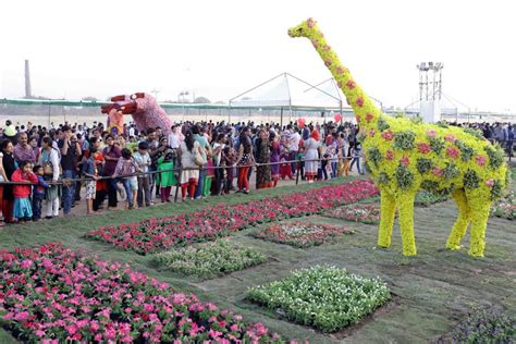 Ahmedabad Flower Show 2019 starts from January 16