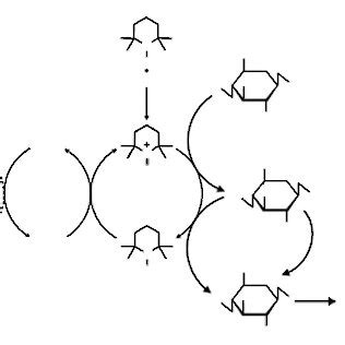 Regioselective Oxidation Of Cellulose By Tempo Mediated Oxidation